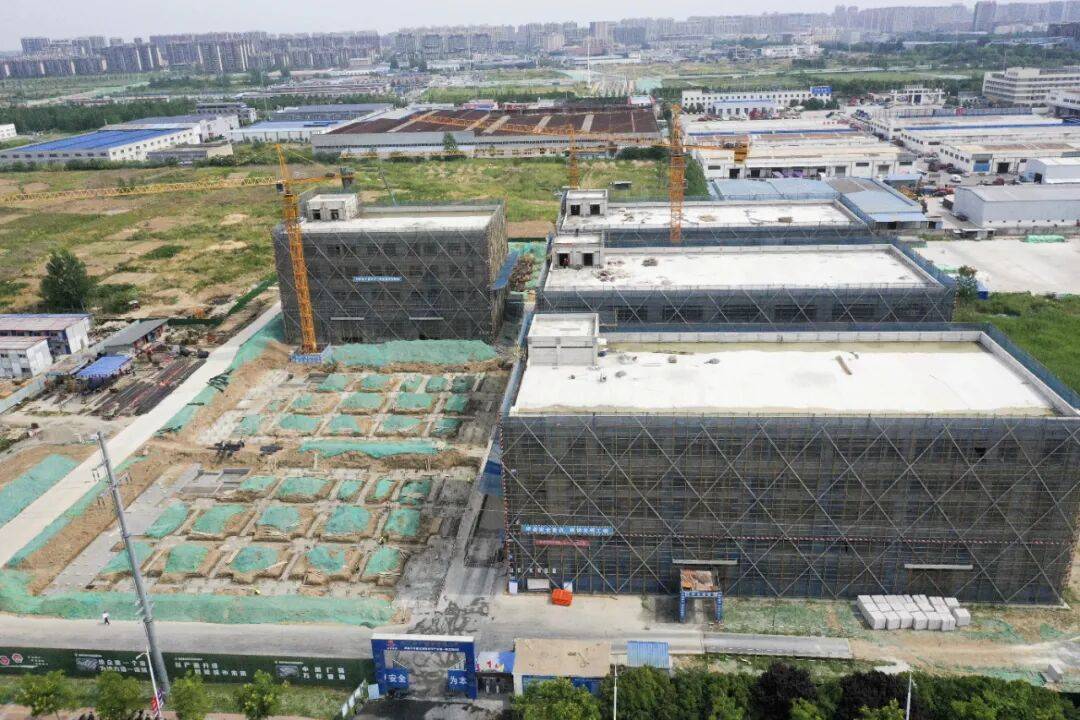 市定下宠物经济200亿目标麻将胡了模拟器试玩江苏一个(图4)