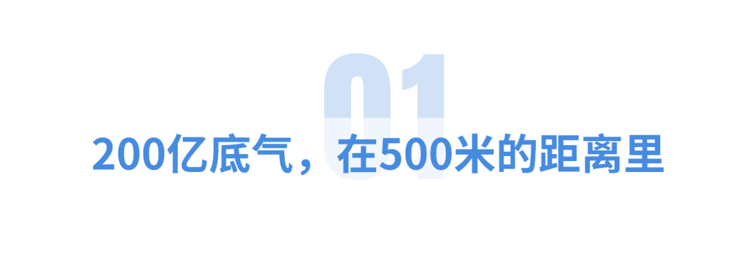 市定下宠物经济200亿目标麻将胡了模拟器试玩江苏一个(图6)