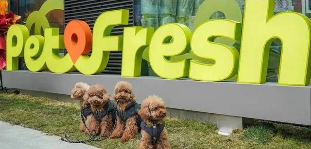 “宠物版盒马”将关闭所有门店！麻将胡了a