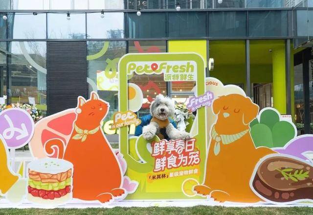 “宠物版盒马”将关闭所有门店！麻将胡了app线下开业不到一年(图6)