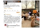 破坦克小希荣膺主食猫条品类开创者麻将胡了