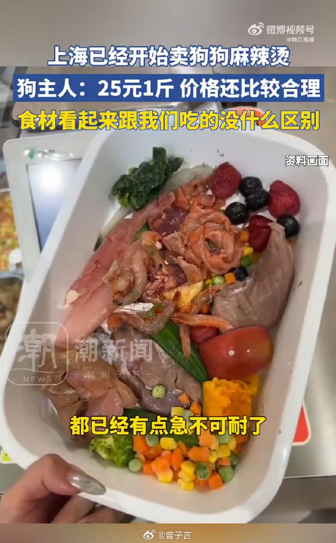 狗麻辣烫25一斤全是真肉上海狗有福了！麻将胡了模拟器试玩破防了！上海惊现狗(图9)