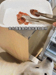 狗麻辣烫25一斤全是真肉上海狗有福了！麻将胡了模拟器试玩破防了！上海惊现狗(图7)