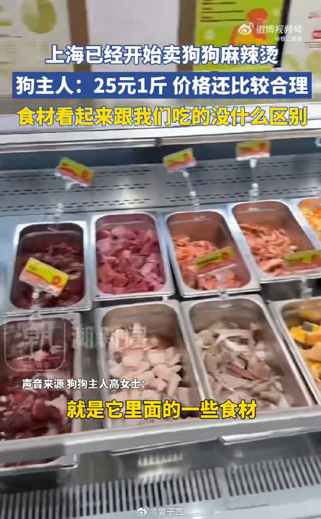 狗麻辣烫25一斤全是真肉上海狗有福了！麻将胡了模拟器试玩破防了！上海惊现狗(图10)